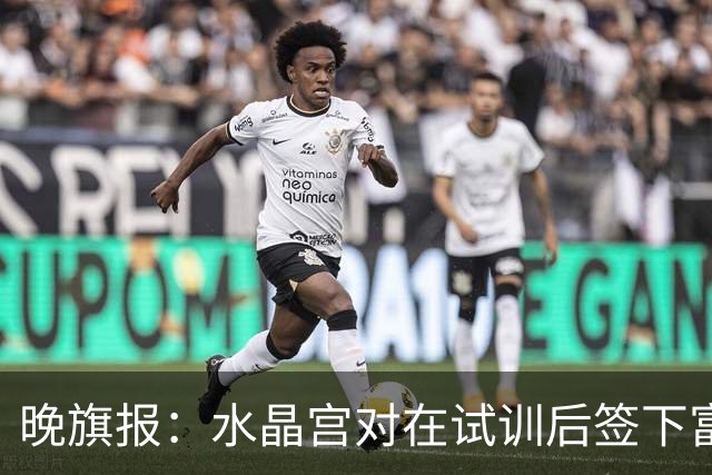 晚旗报：水晶宫对在试训后签下富安健洋持开放态度